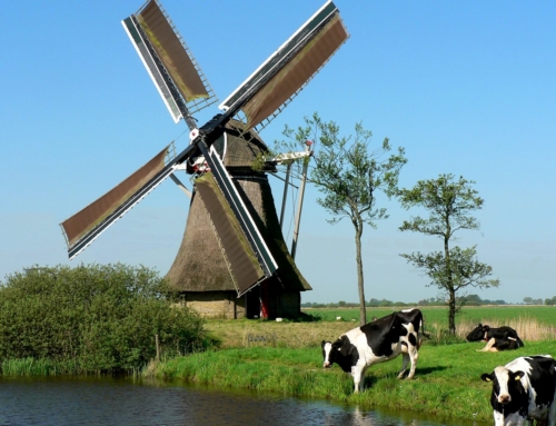 Nederland